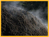 All Natural Compost